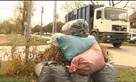 Jövő hét elejére minden utcából elszállítják a zöldhulladékot