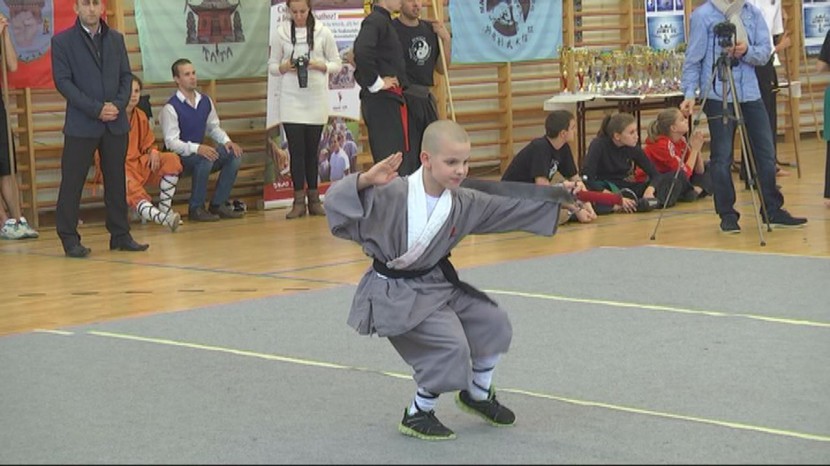 Éremeső a Kung-Fu és Wushu magyar bajnoki döntőn