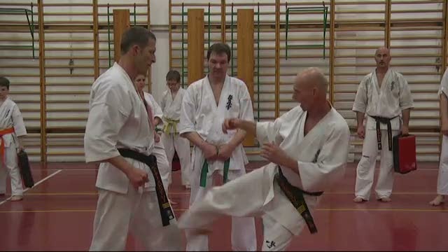 Kiemelkedő karate eredmények Gyálon