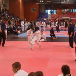 0420_kyokushin_2