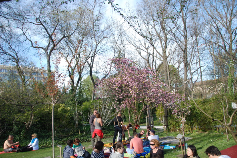 Sakura hanami a Füvészkertben