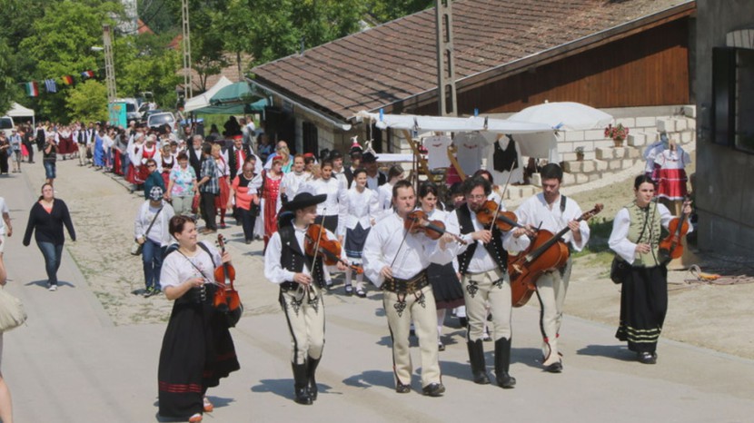 Szőlővirág Ünnep az ófalusi pincesoron