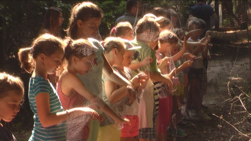 Napközis tábor a Budakeszi Vadasparkban