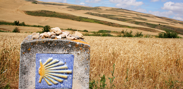 Úton a világban – El Camino