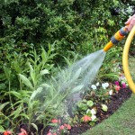 garden-watering-1352684-1279x945
