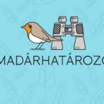 madarhatarozoapp