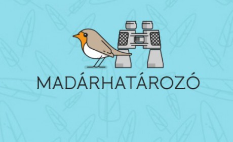 Madárhatározó APP okostelefonra