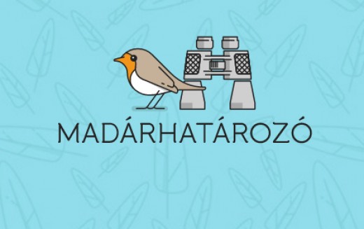 Madárhatározó APP okostelefonra