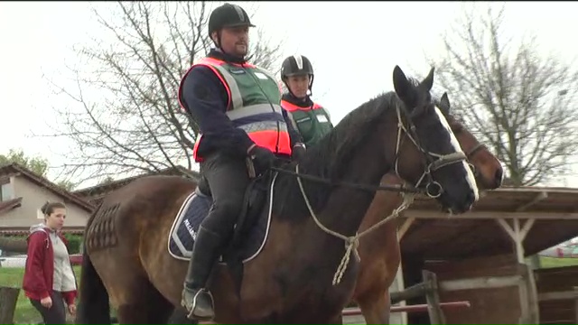 Továbbképzés lovas polgárőröknek