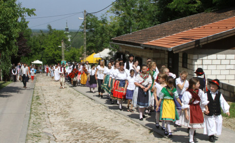 A szőlővirágzás ünnepe Érden