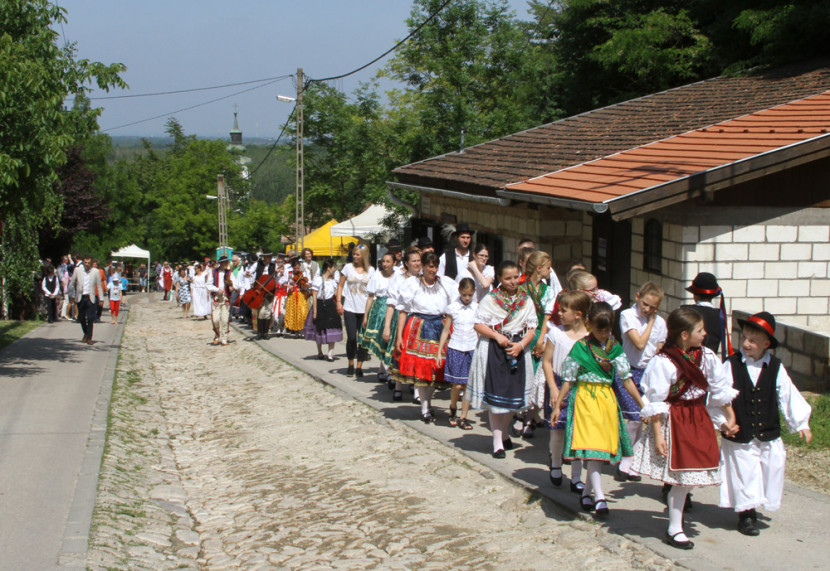 A szőlővirágzás ünnepe Érden