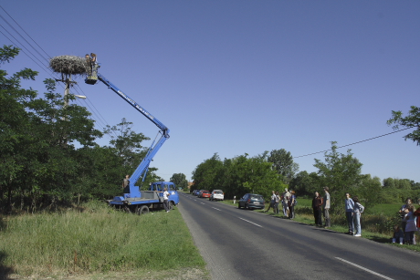 Gólya road show 2016