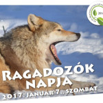 ragadozok_napja_20171