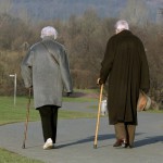 Spring walk,,, Old couple talking a walk in a park.