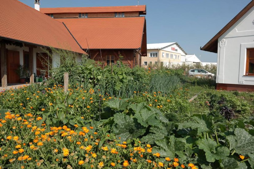 Rekord a legszebb konyhakert vetélkedőn