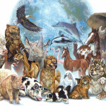 animales-mas-longevos-planeta