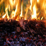 Burning-Fall-Leaves-Is-Extremely-Toxic-For-The-Body-Planet