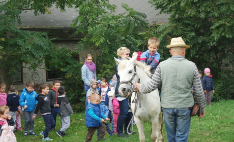 Állatok világnapja Parkvárosban