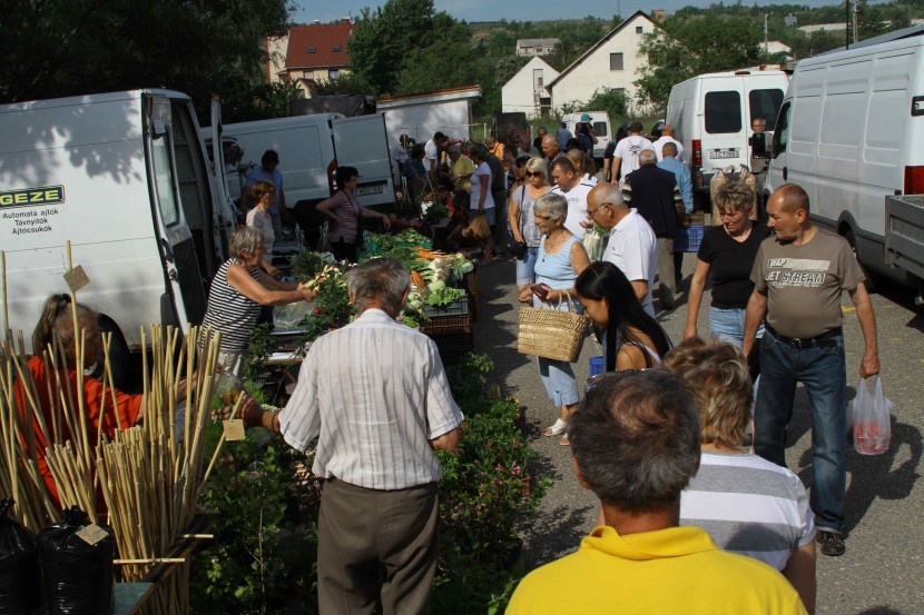 Megújul az érdi piac vizes blokkja