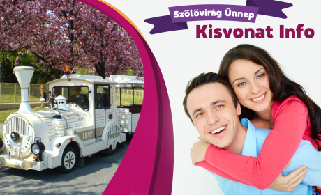 Szőlővirág Ünnep – kisvonat info