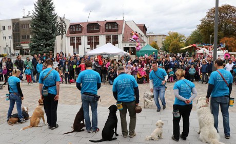 Egy jó nap a felelős állattartásért